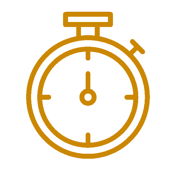 Lightning-Fast Turnaround icon